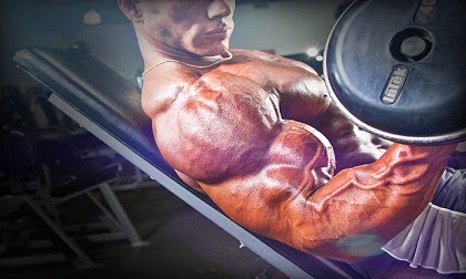Photo of نصائح للحصول على عضلات ذراعين ضخمة وقوية