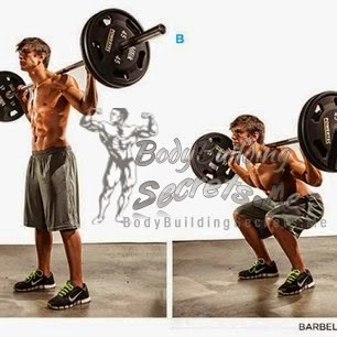 Photo of فوائد تمرين السكوات ( Squat ) – عضلة الرجل